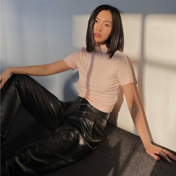 Aritzia Babaton Gonzalo top - Picture 4 of 6